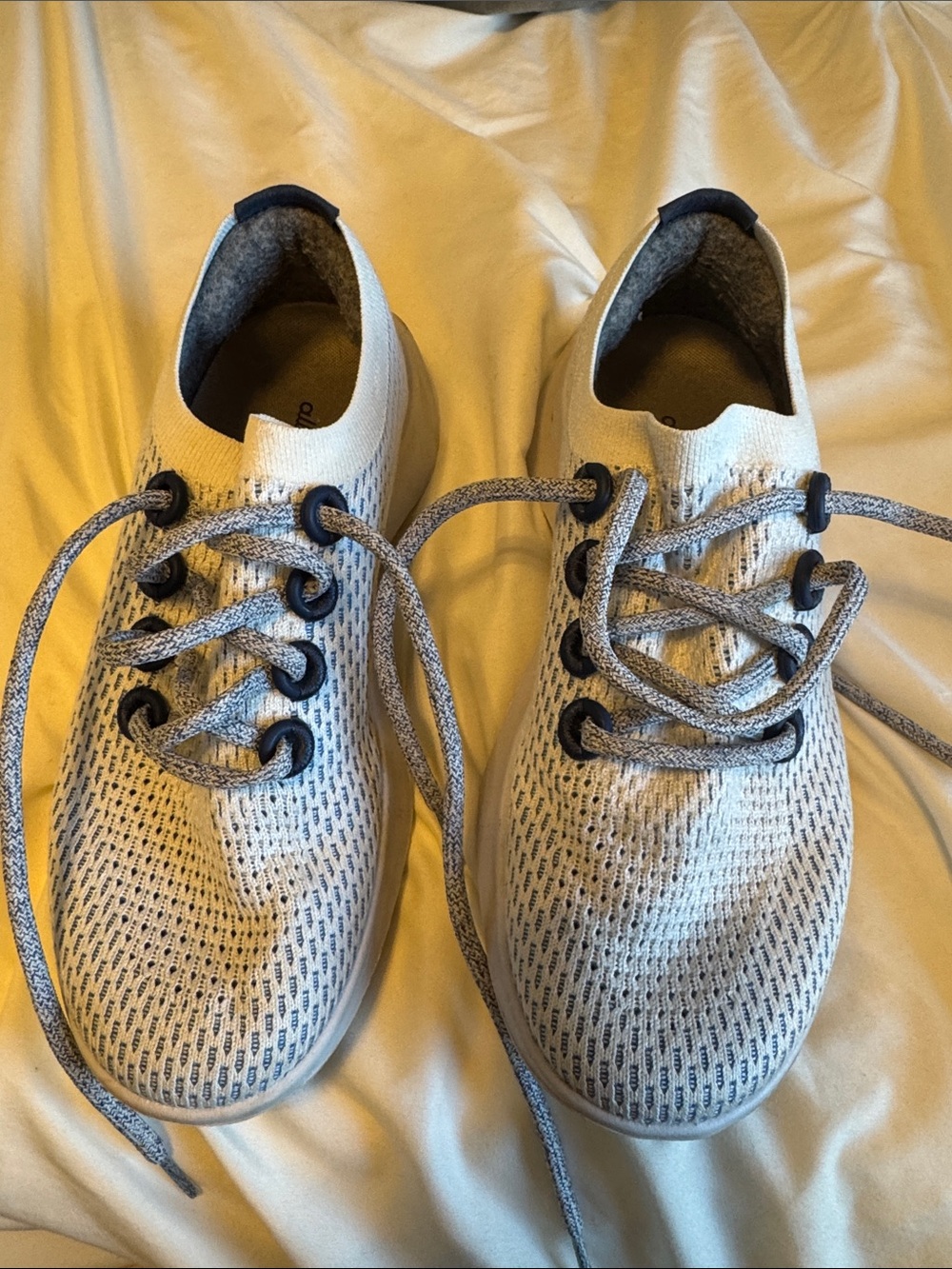 allbirds Women's White and Gray Tree Runners with Navy Trim